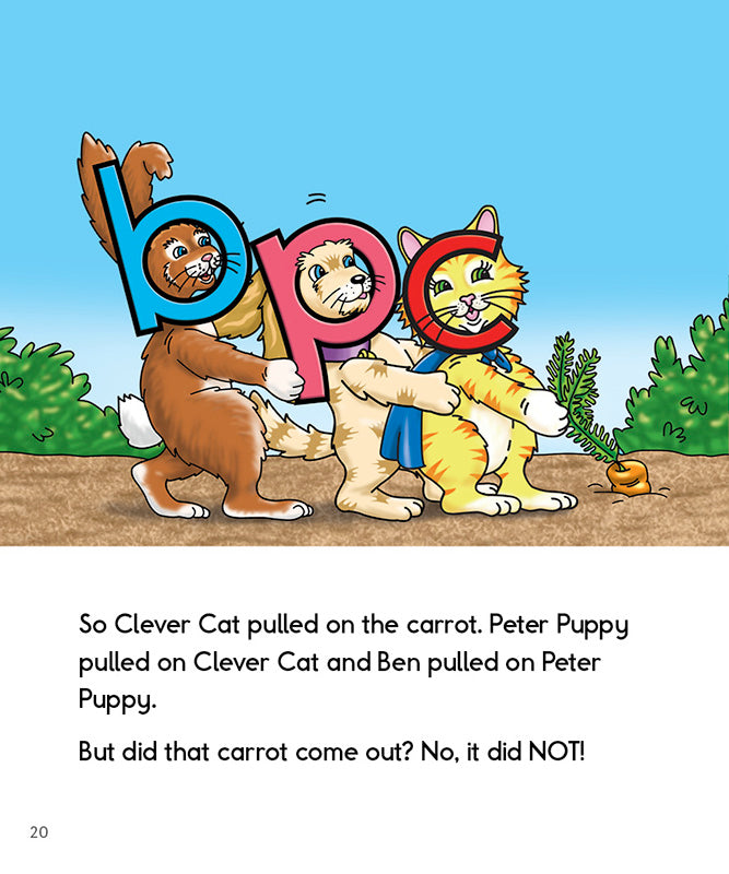 Phonics Readers Set 4