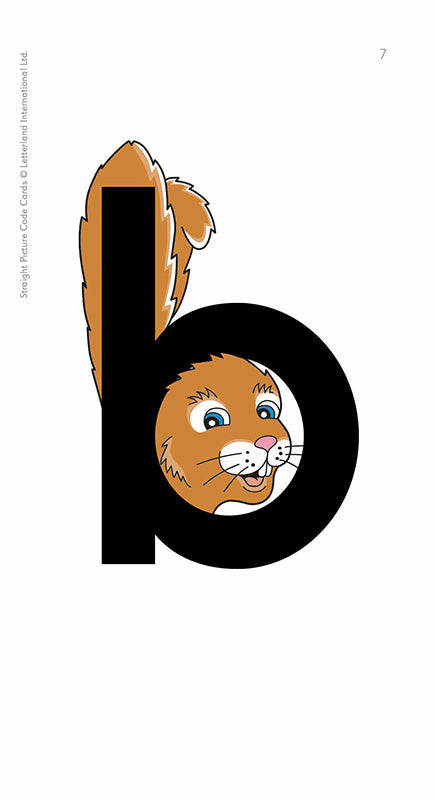 Picture Code Cards - Straight