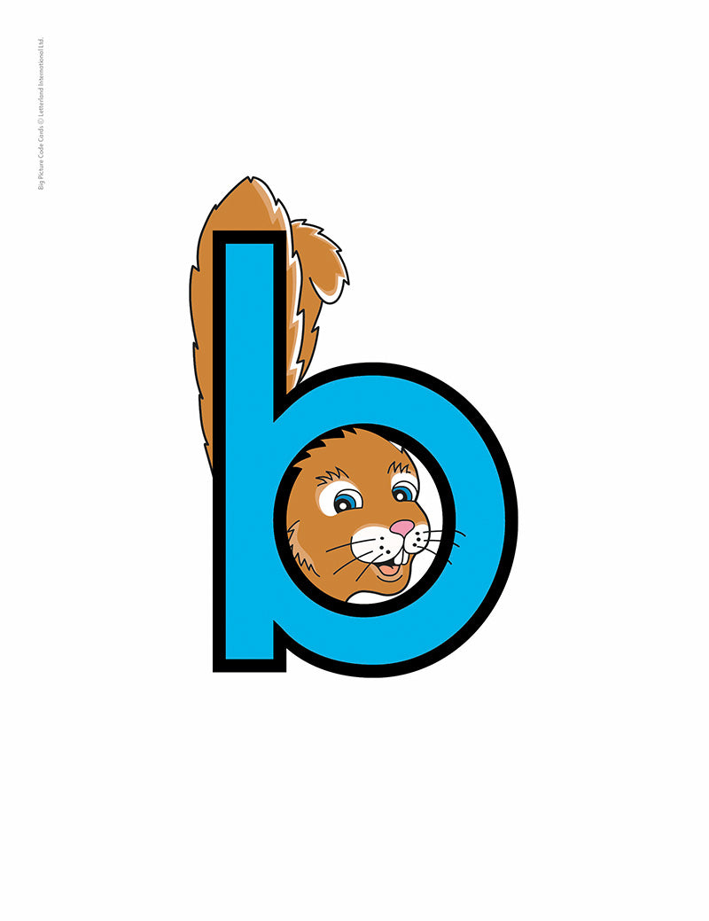 Big Picture Code Cards – Letterland USA