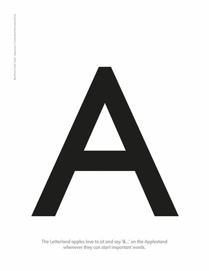 Big Picture Code Cards - Uppercase (2nd Edition)