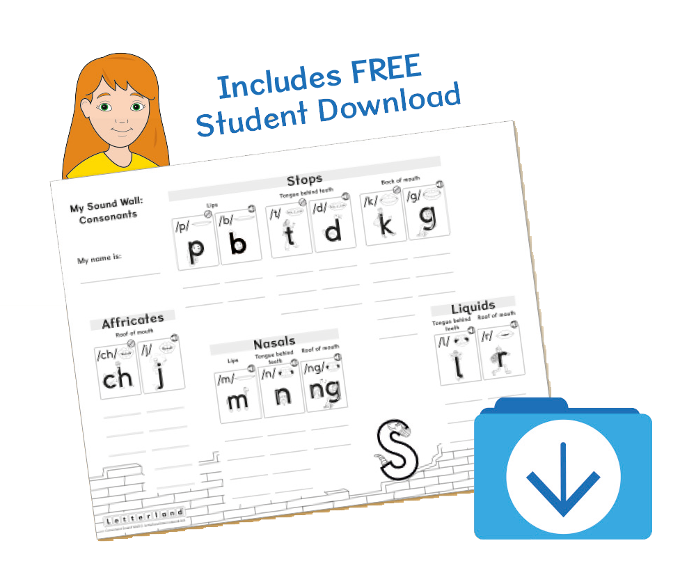 Sound Wall Posters [Classic]