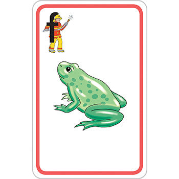 My First Phonics Flashcards [Classic] – Letterland USA