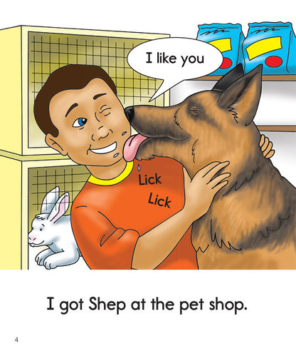 Phonics Readers Set 2 [Classic]