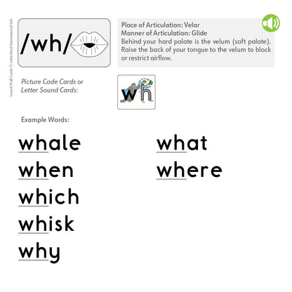 Sound Wall Cards [Classic]