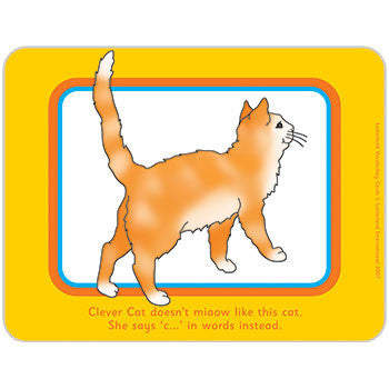 Vocabulary Cards [Classic]